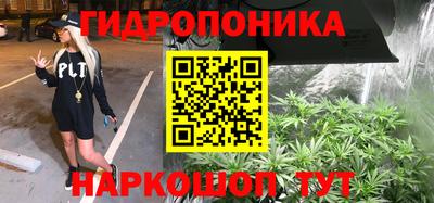 эйфоретик Кандалакша