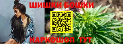 бошки Камышлов