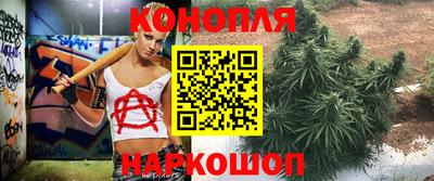 эйфоретик Кандалакша